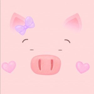 Meet your Posher, Binh